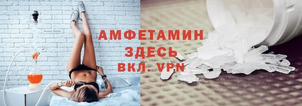 индика Козловка