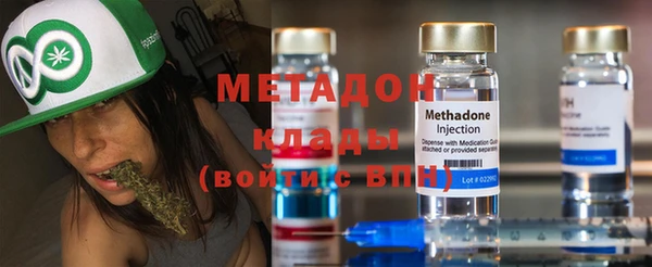 индика Козловка