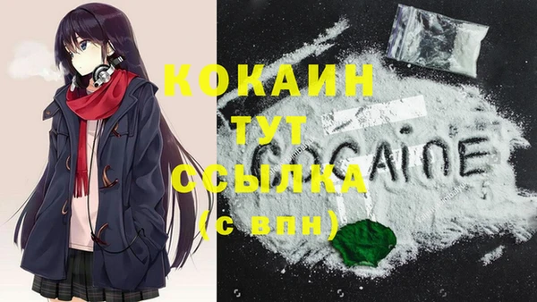 индика Козловка