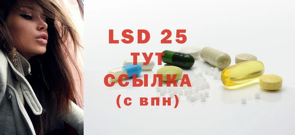 индика Козловка