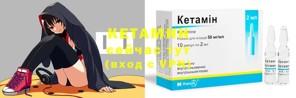 индика Козловка