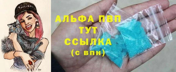 индика Козловка