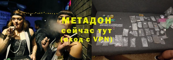 индика Козловка